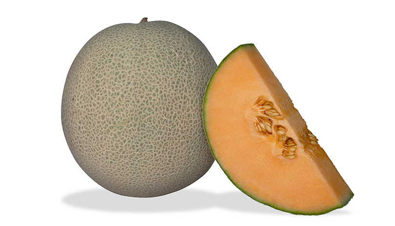 Barbossa Cantaloupe (Treated Seed)