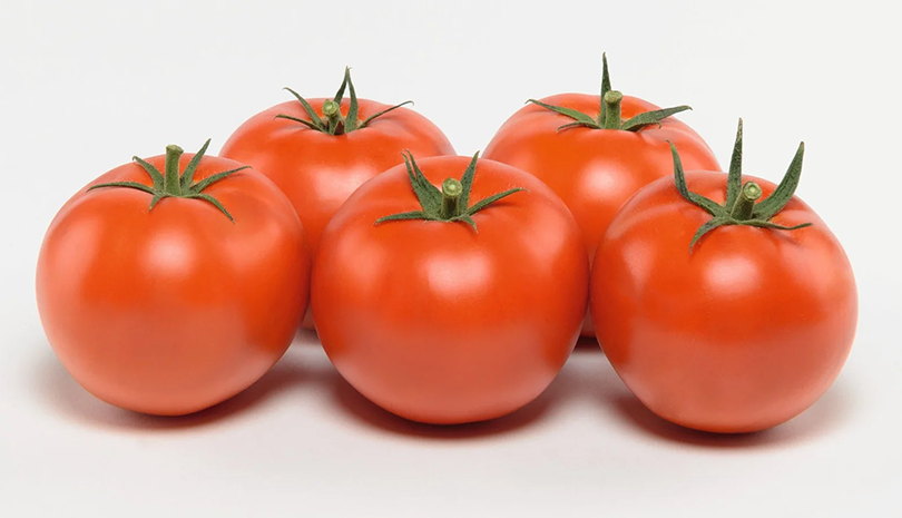 Carole Tomato (Not Treated)