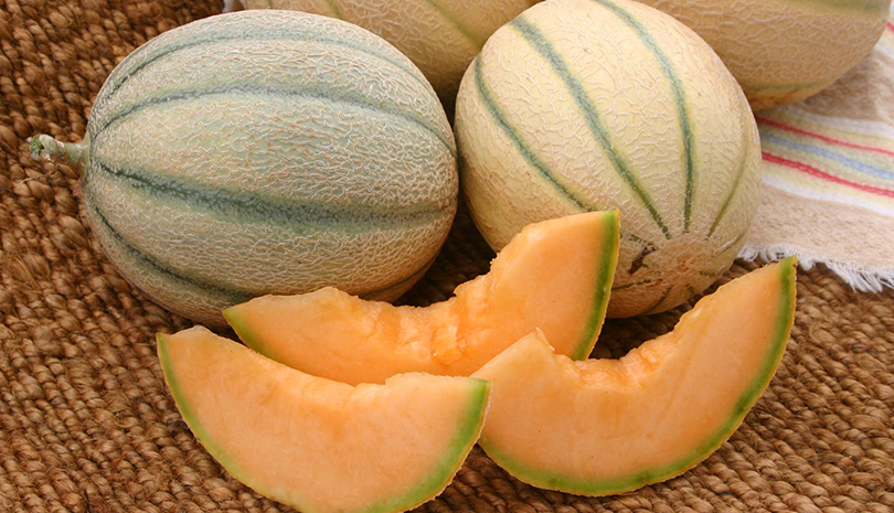 Wrangler Cantaloupe (Treated Seed)