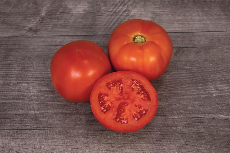 Mountain Man Tomato (Pelleted)