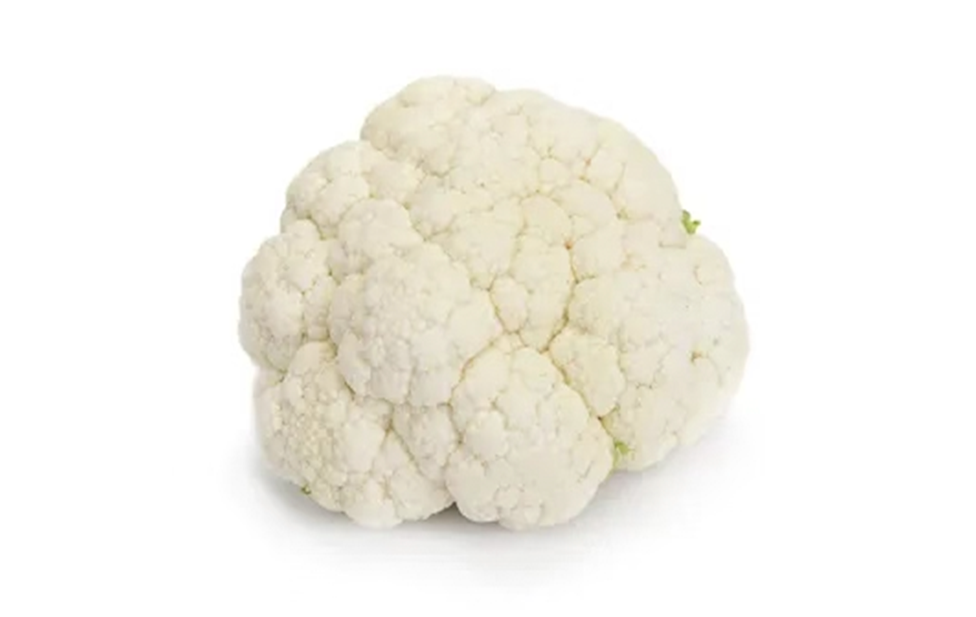 Pensacola Cauliflower (Treated Seed)