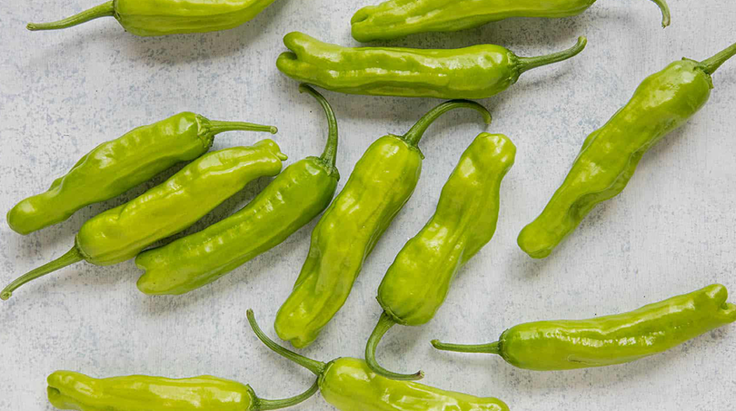 Shishimai Pepper (Treated Seed)