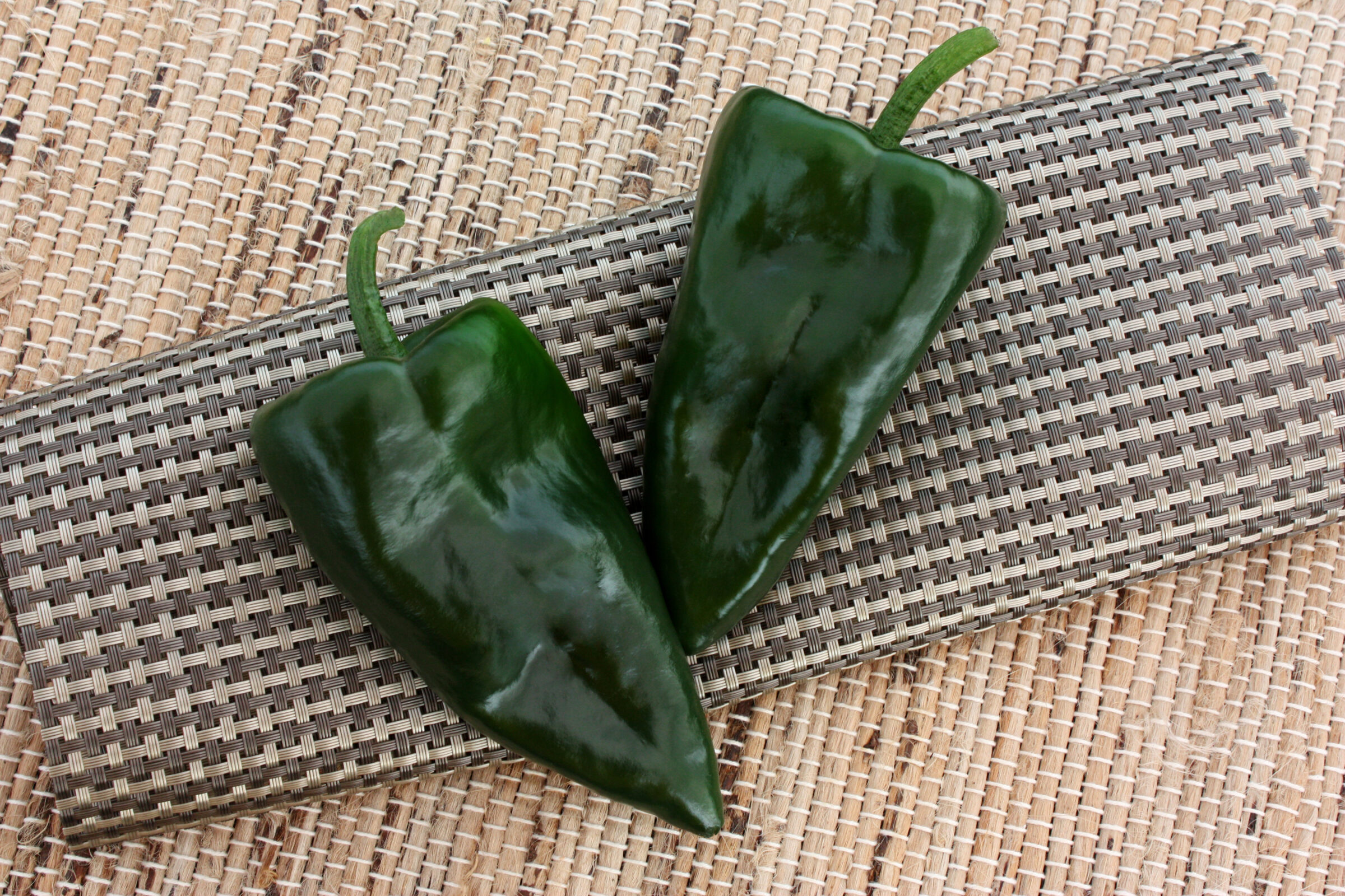 Trident Pepper (Treated Seed)