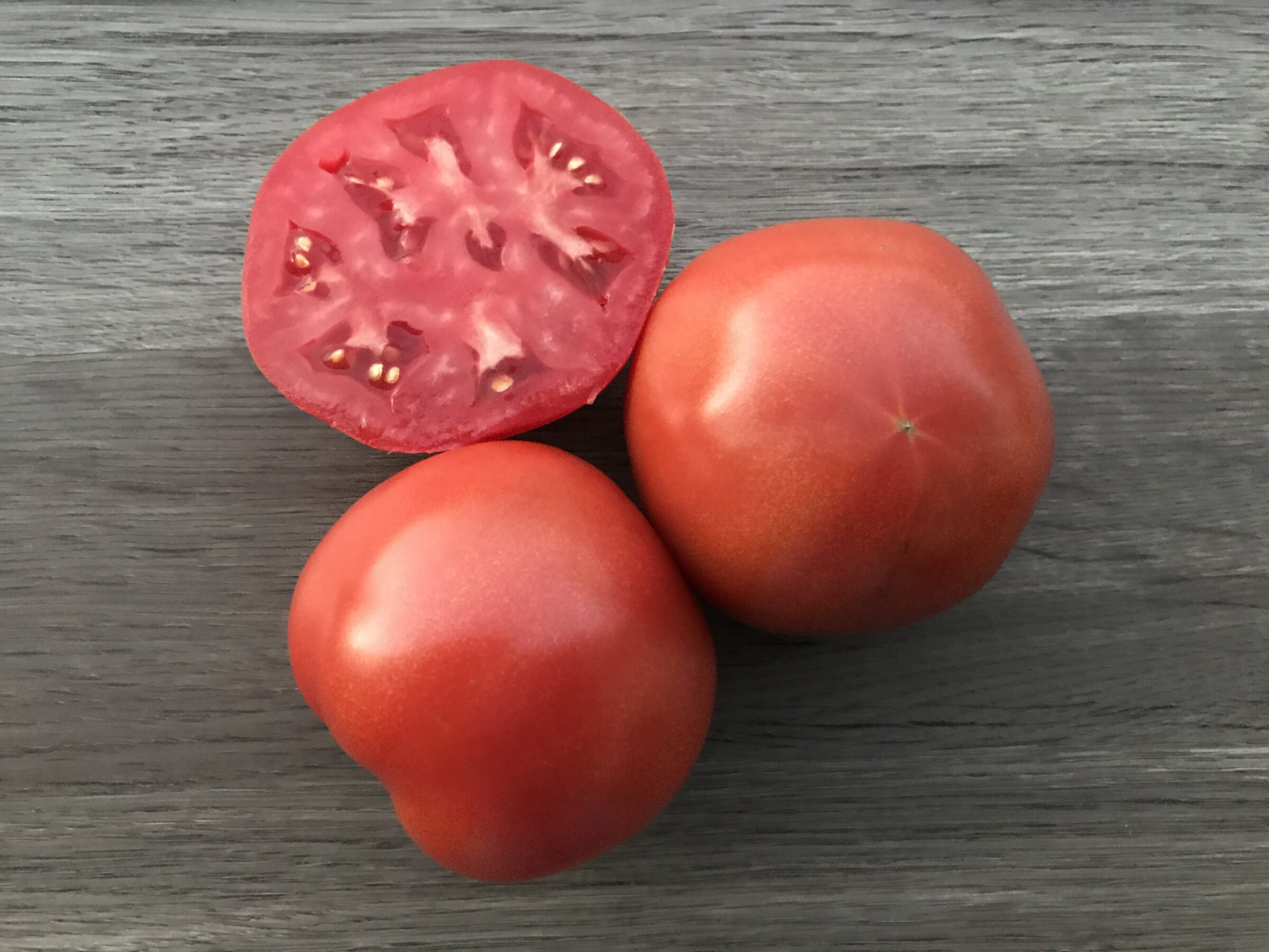 Rubee Goddess Tomato (Treated Seed)