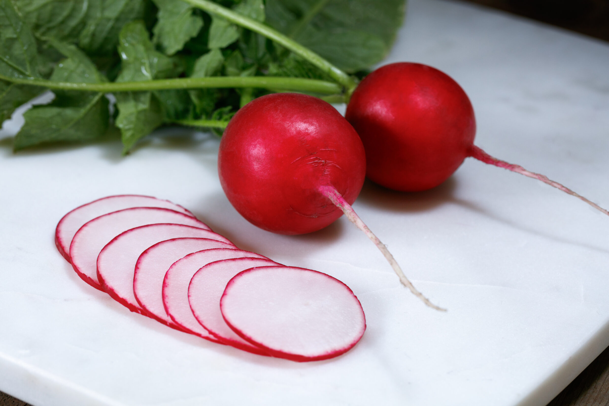 Regal Red Radish (Not Treated) - Image 3
