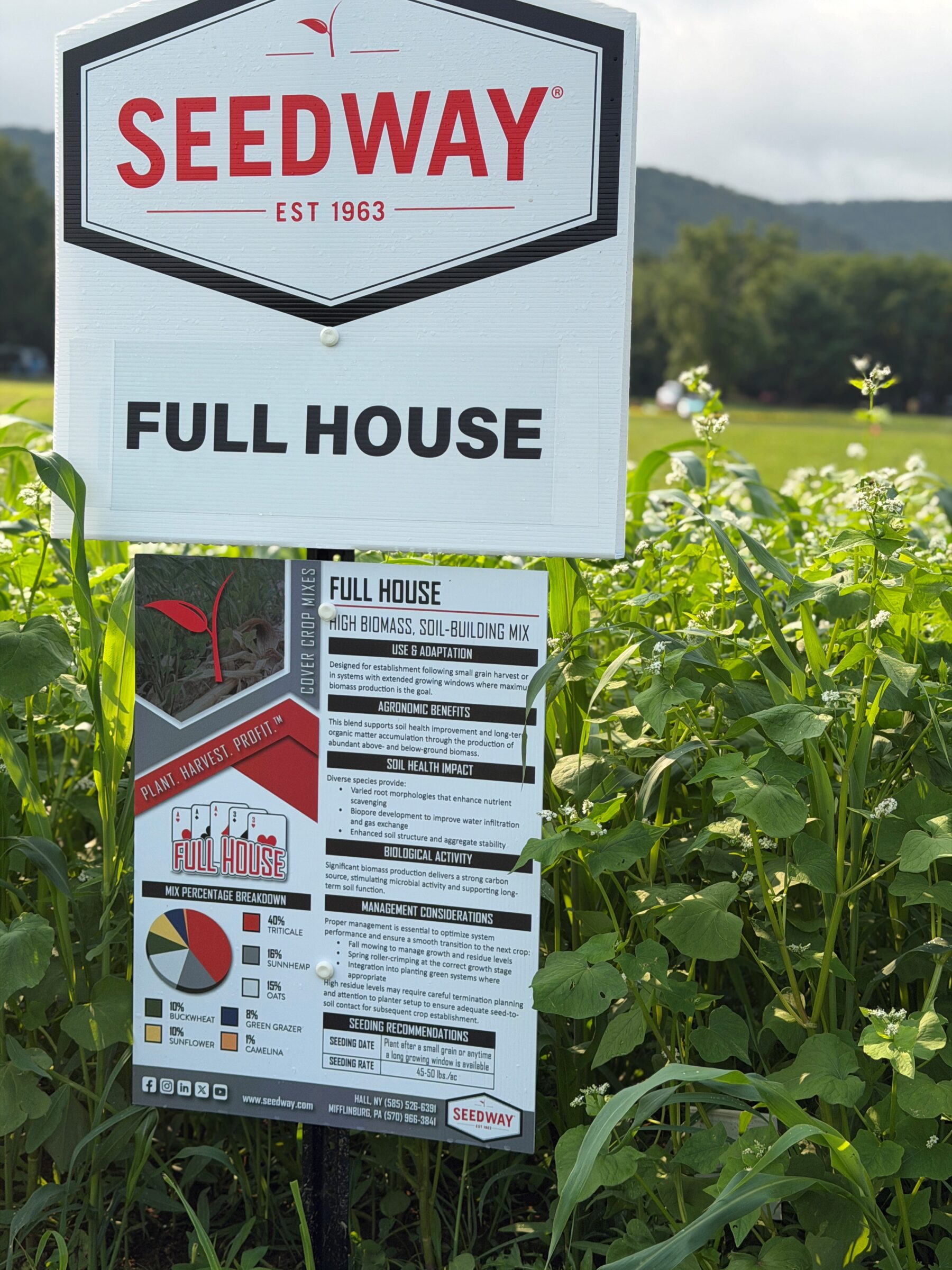 Full House (High Biomass, Soil-Building Mix) - Image 4