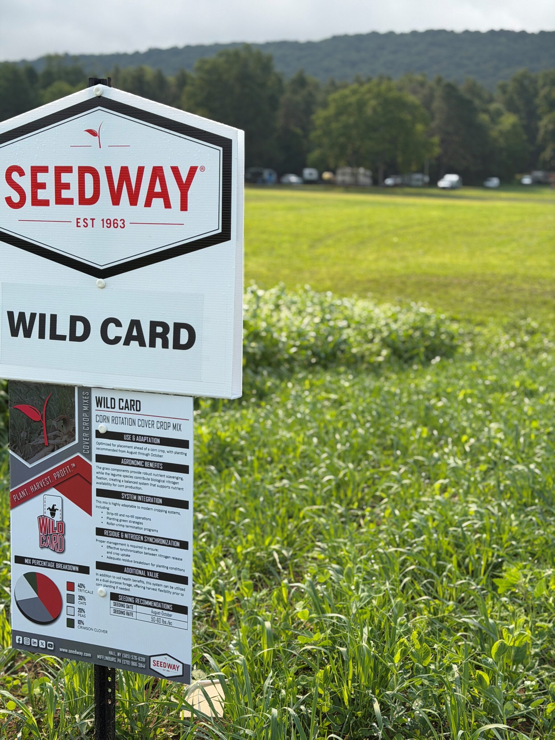Wild Card (Corn Rotation Cover Crop Mix) - Image 2